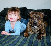 A 4 month old brindle female from Mugleston's and her best friend. These two are inseperable